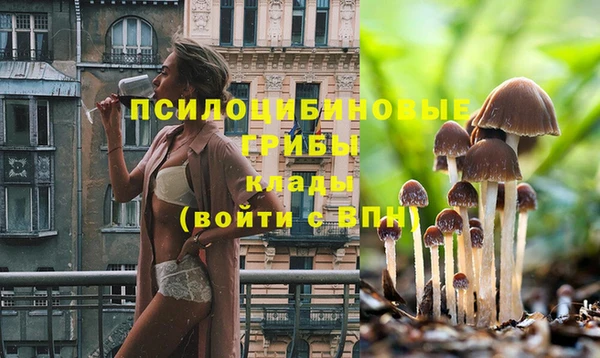 спиды Абинск